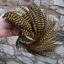 Whiting Exclusive Grizzly Hen Cape in Golden Olive